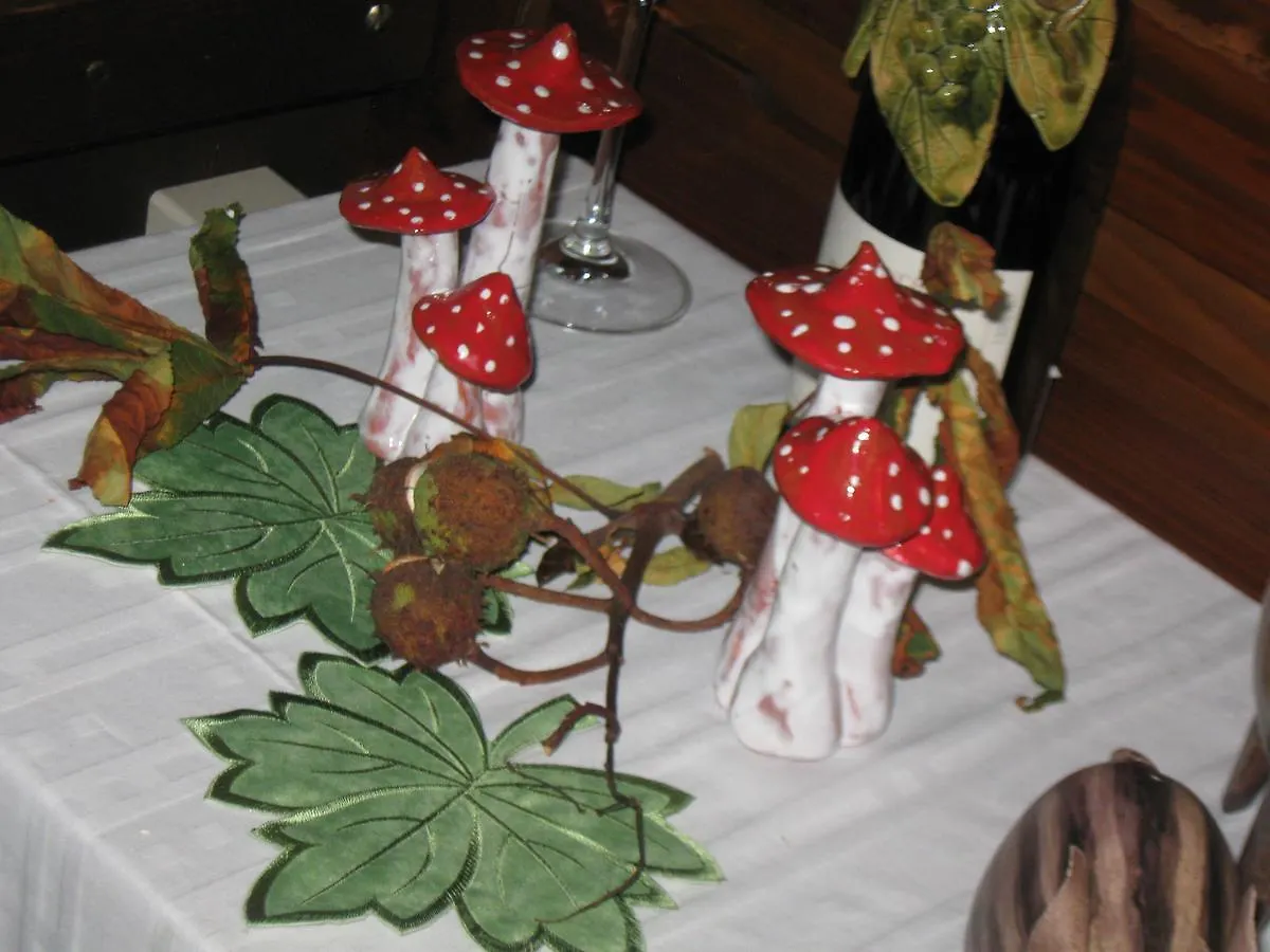 Hotel Hotel-Restaurant Lindenhof Kreuzwertheim
